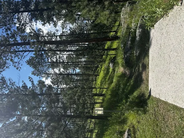 Pageant Hill DGC: Pageant Hill DGC, photo by Jeri-Ann Brownbridge