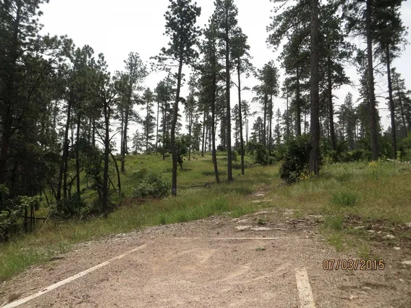 Spearfish Canyon DGC: Hole 10 · Tee pad · Jul 2015, photo by Vey Thach