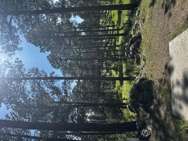Pageant Hill DGC: Pageant Hill DGC, photo by Jeri-Ann Brownbridge
