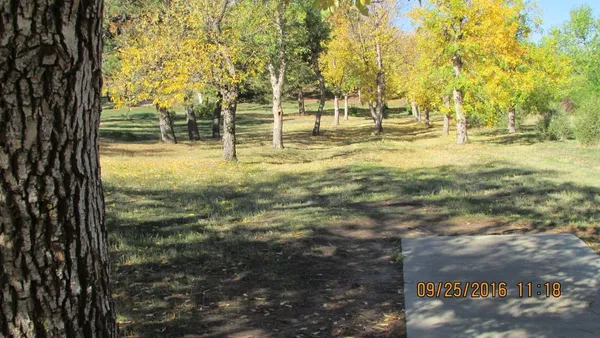 Energy Rotary Club Disc Golf Course: Hole 5 · Tee pad · Sep 2016, photo by jeff Balthazore