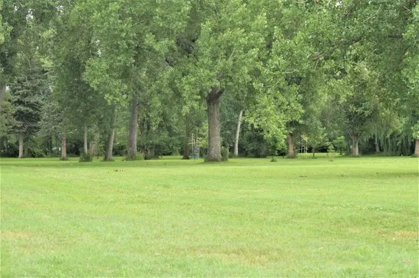 Jackson Park: Hole 6 · Tee pad, photo by Vern Lepine