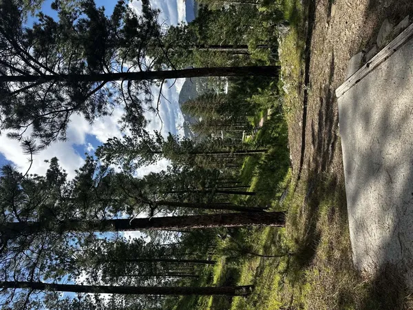 Pageant Hill DGC: Pageant Hill DGC, photo by Jeri-Ann Brownbridge
