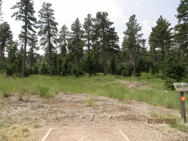 Spearfish Canyon DGC: Hole 11 · Tee pad · Jul 2015, photo by Vey Thach