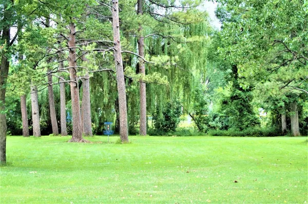 Jackson Park: Hole 8 · Tee pad, photo by Vern Lepine
